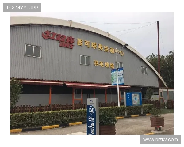 上海羽毛球队运营模式分析及其在羽毛球热点中的影响探讨