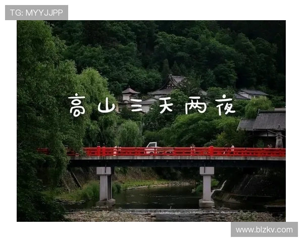 京都与岐阜的精彩对决专家深度解读赛事亮点与战术分析