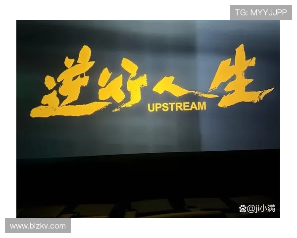 刘铮的奋斗历程与成就探索：从平凡到卓越的精彩人生之路