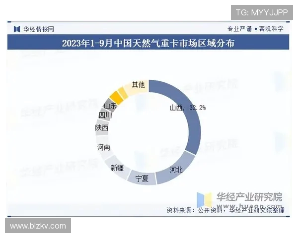 数据分析在液化天然气行业中的个人能力提升与表现研究