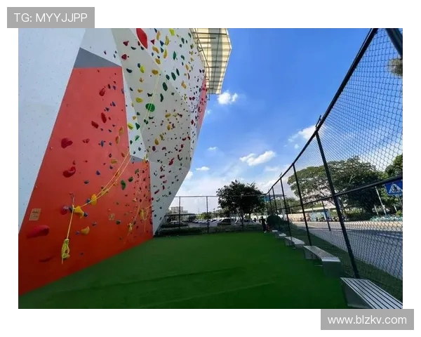 广州攀岩队的盯防策略分析与比赛表现的得失探讨